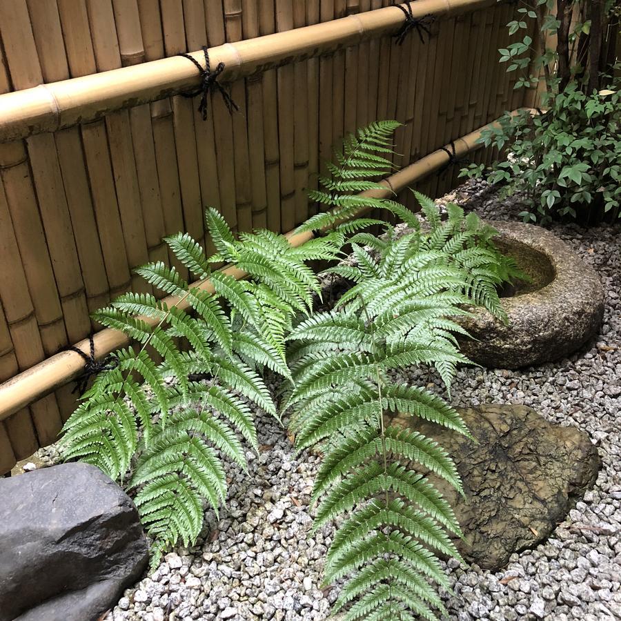 Naokonoza Omiya Gojo Villa Kyoto Eksteriør bilde