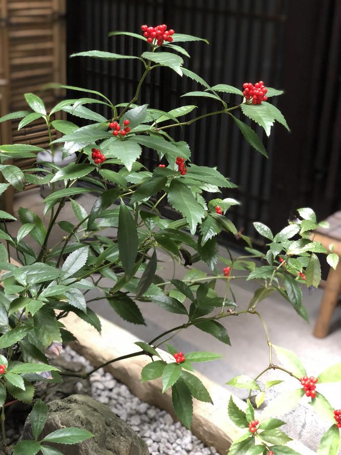 Naokonoza Omiya Gojo Villa Kyoto Eksteriør bilde